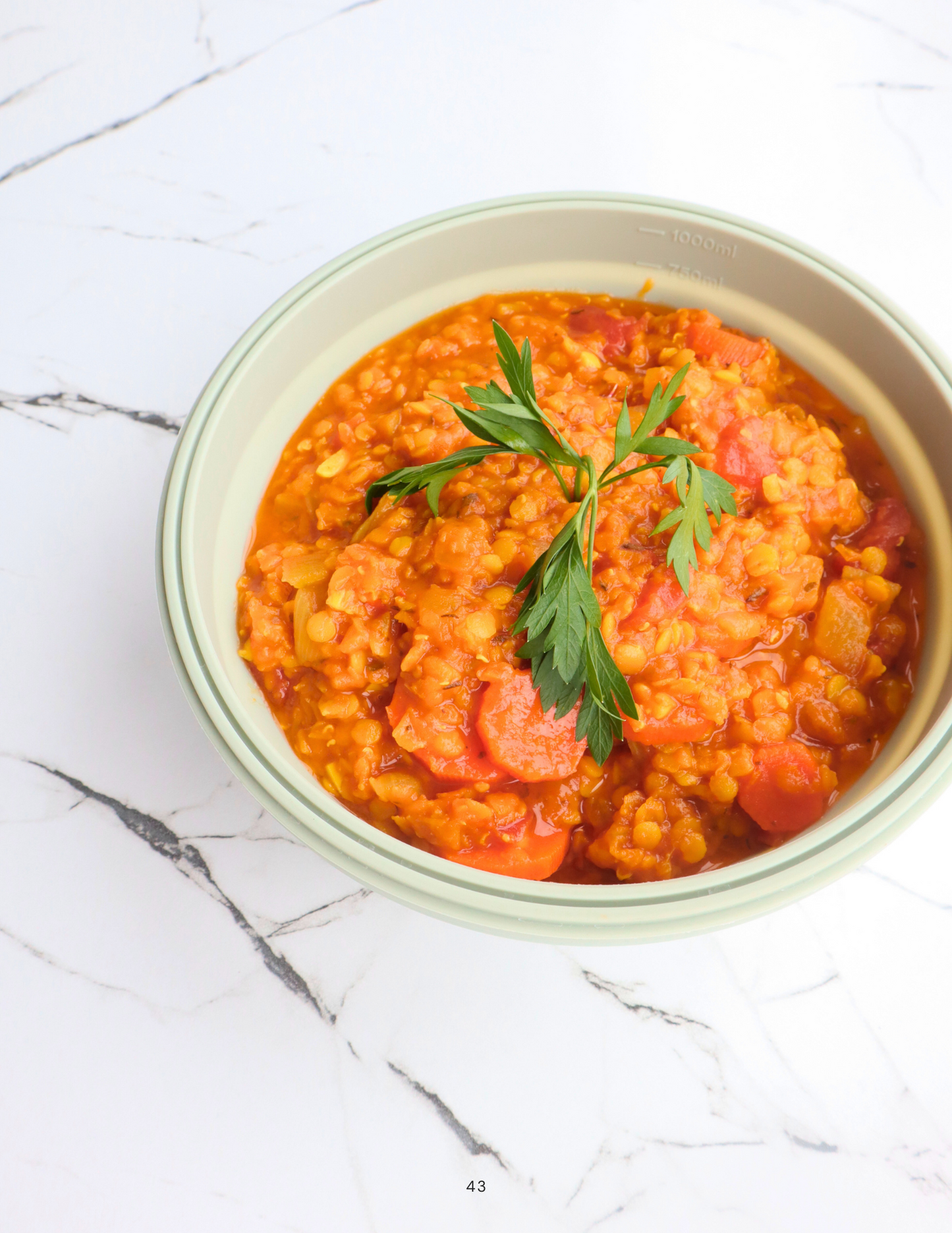 Healthy Gut Cookbook (Ebook)