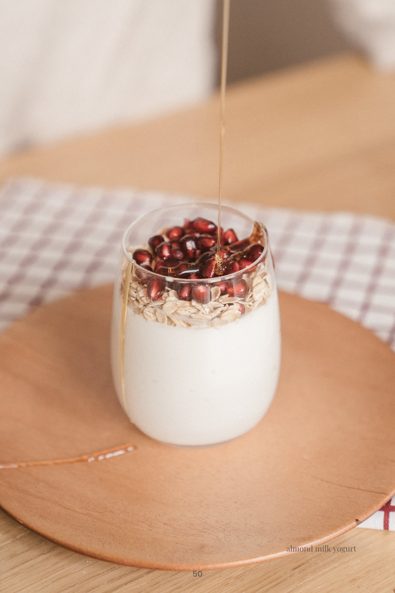 Healthy Snacks Cookbook (Ebook)