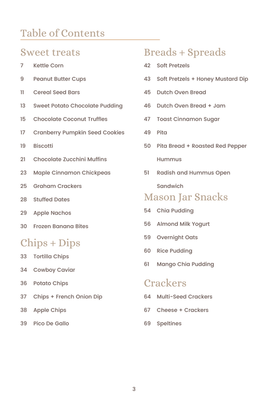 Healthy Snacks Cookbook (Ebook)