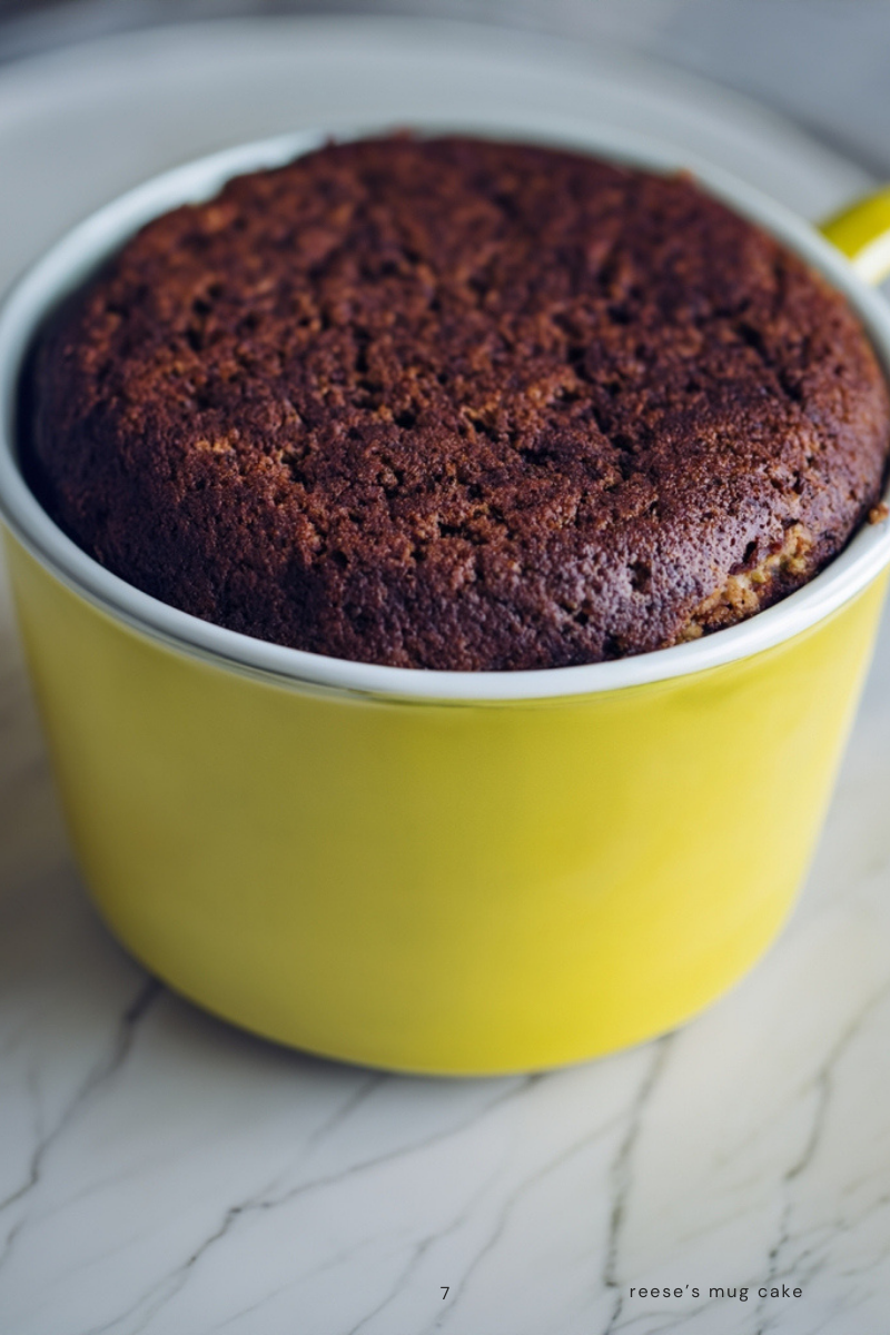 Healthy Dad Cookbook (Ebook)